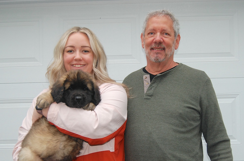 *Jerman pick up for website