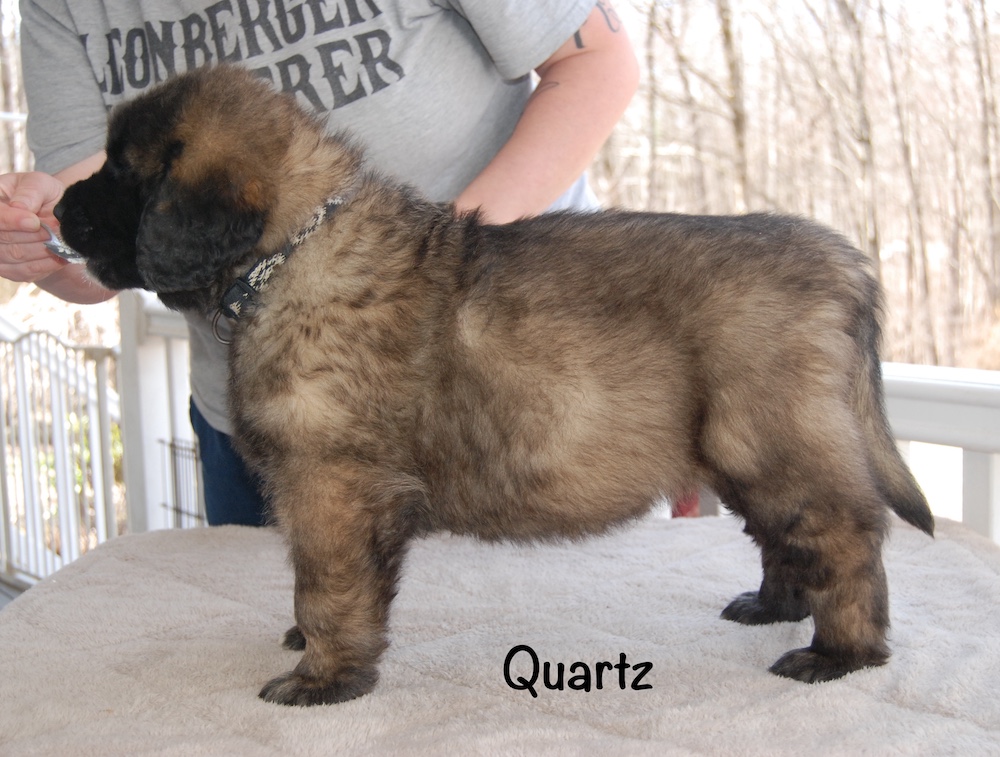 Quartz stacked for website