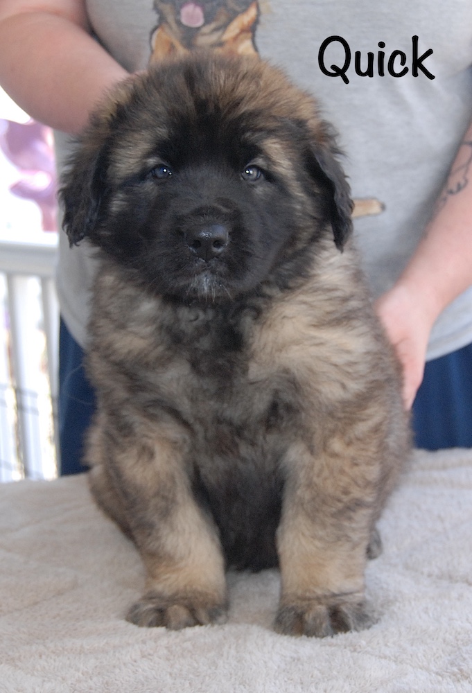 Quick front for website