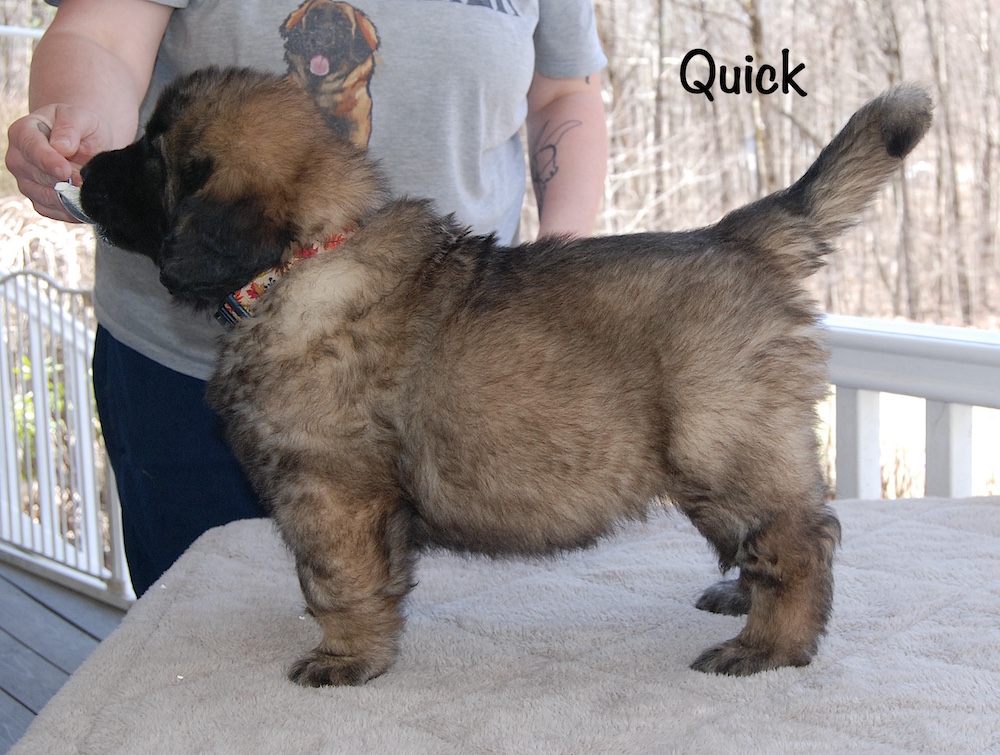 Quick stacked for website