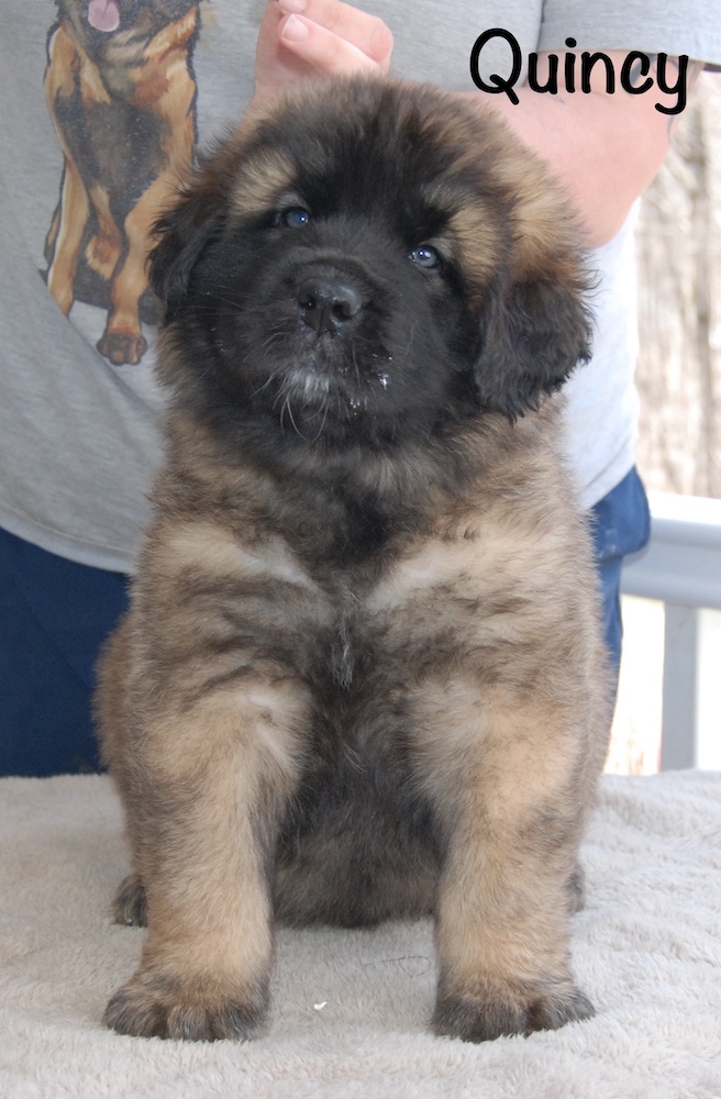 Quincy front for website