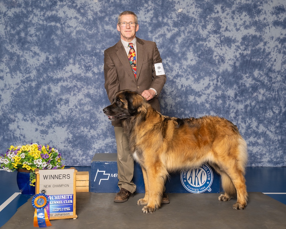 Kahlua Championship pic for website