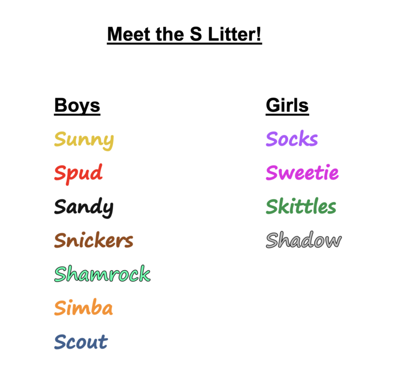 Meet the S Litter