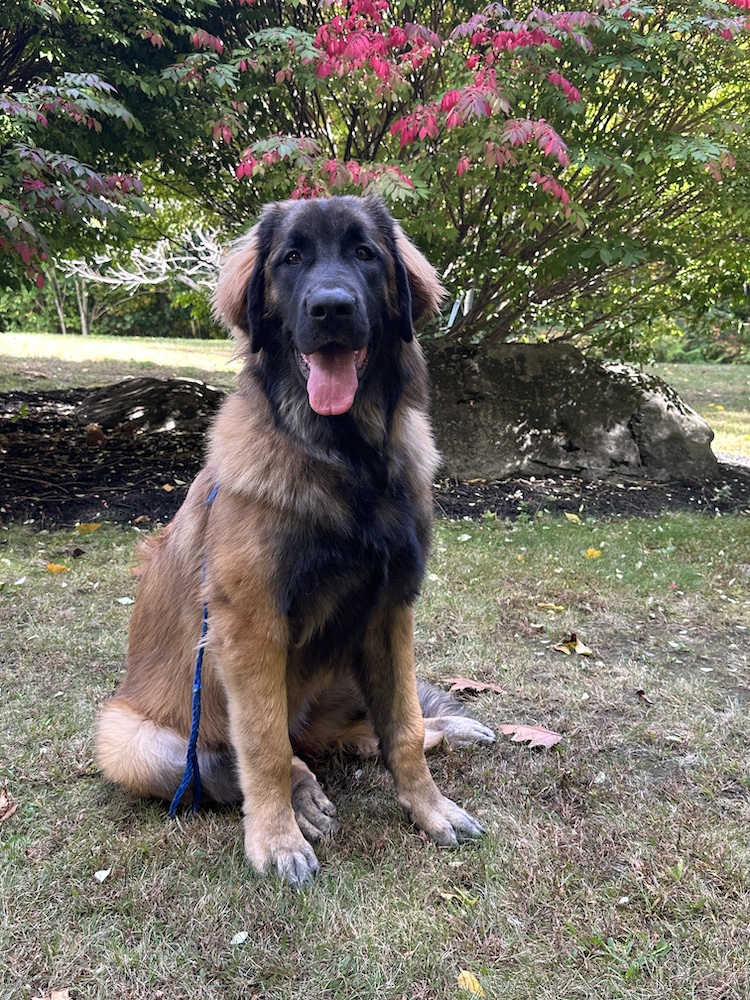 *Rory 7 months for website